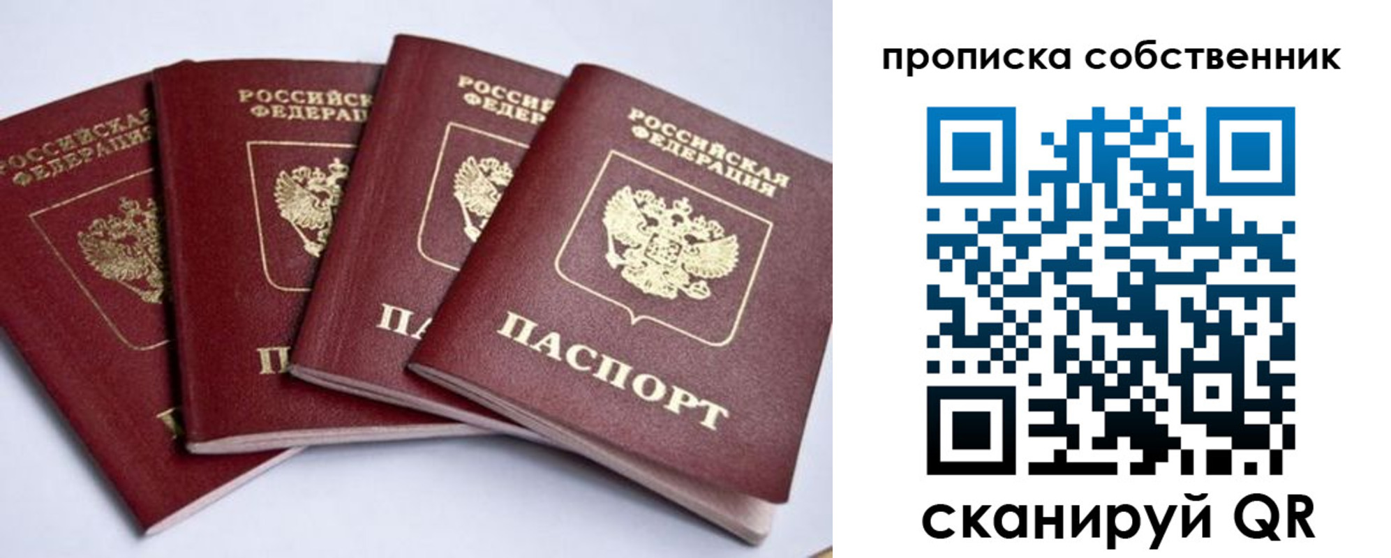 прописка для школы в Холмске