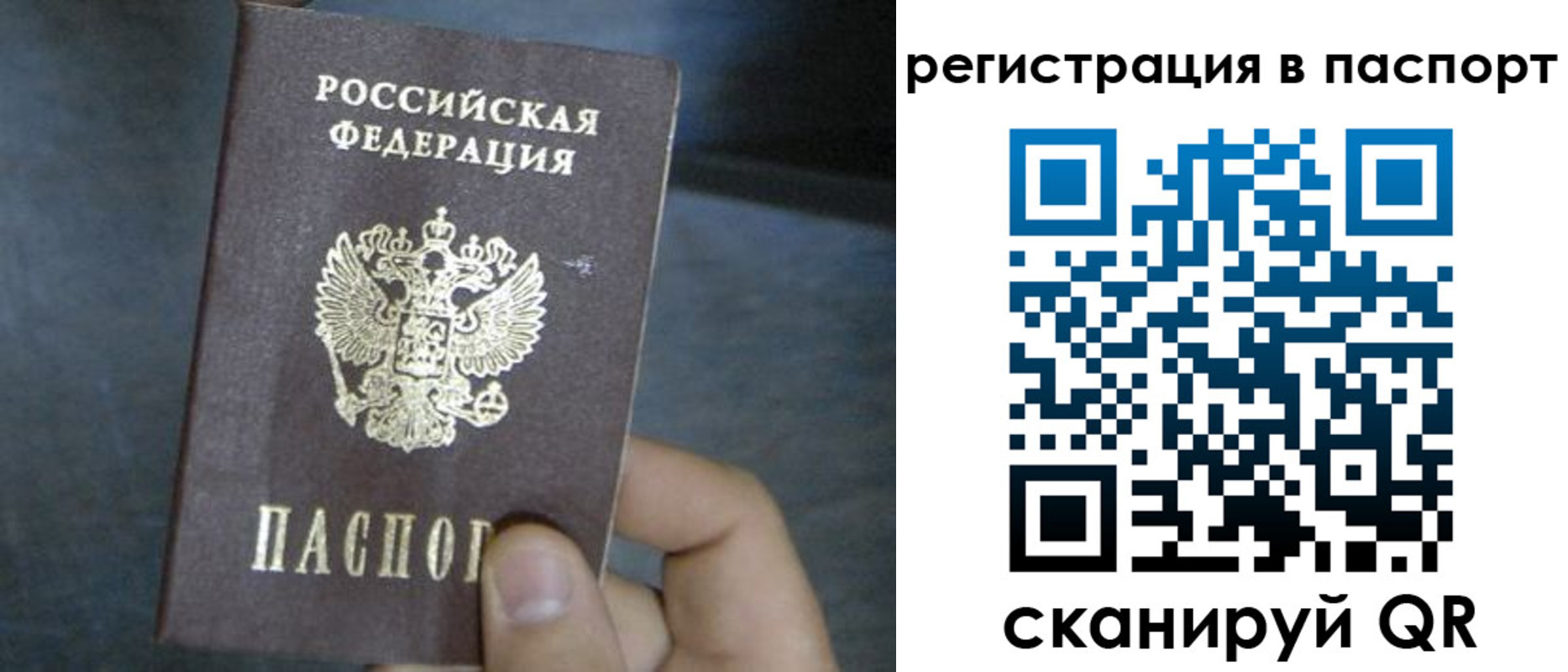 прописка 2025 в Холмске